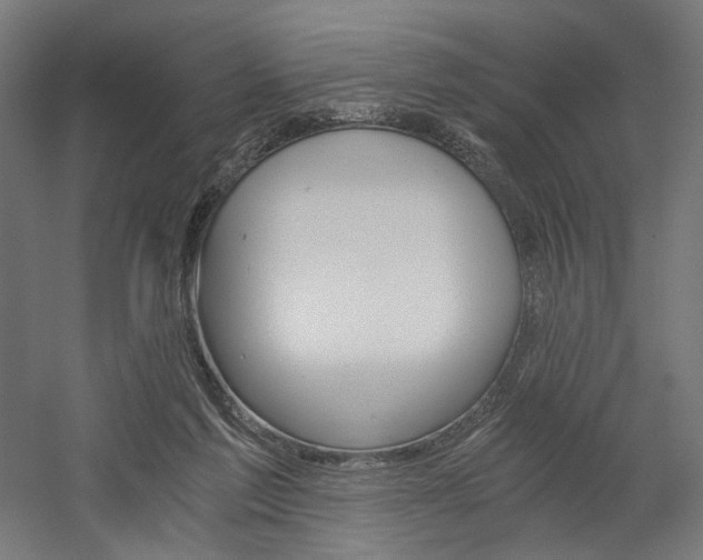 X0000058800213200509301216