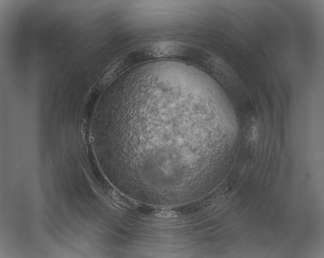 X0000058800214200509301216