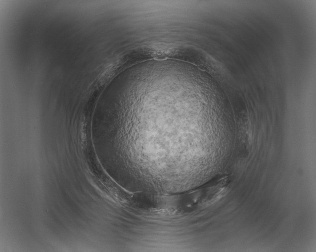 X0000058800215200509301216
