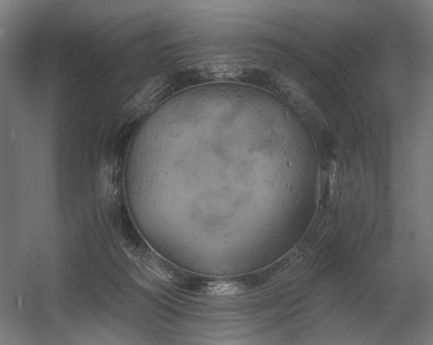 X0000058800218200509301216