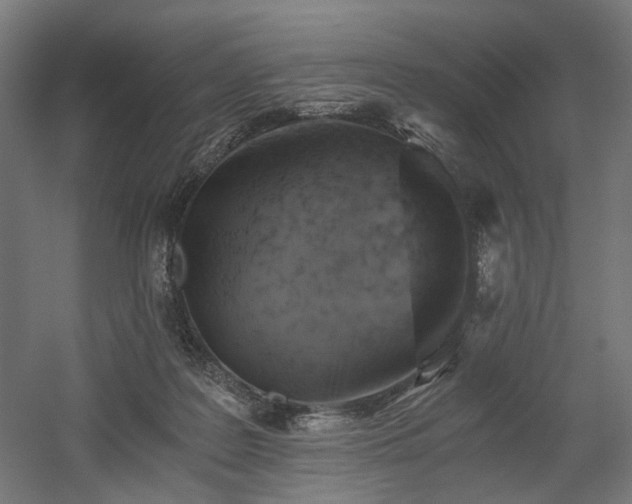 X0000058800219200509301216