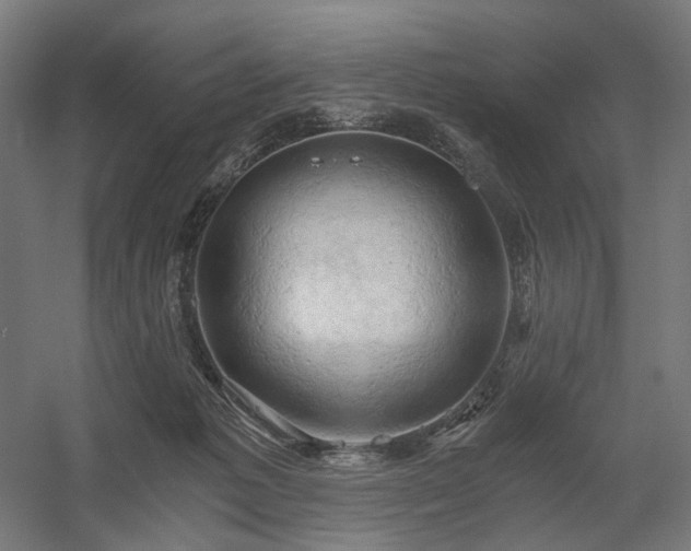 X0000058800221200509301216