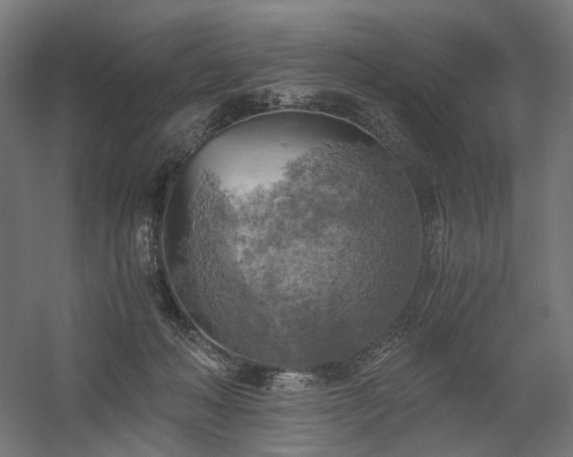 X0000058800222200509301216