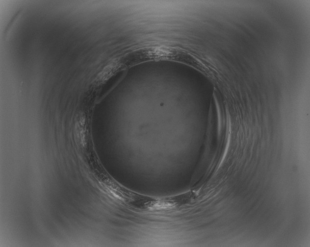 X0000058800223200509301215