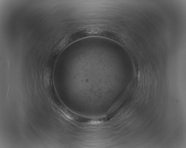 X0000058800227200509301215