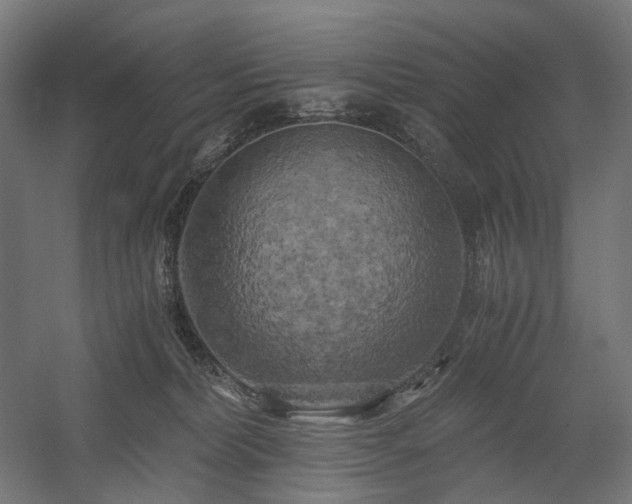 X0000058800228200509301215