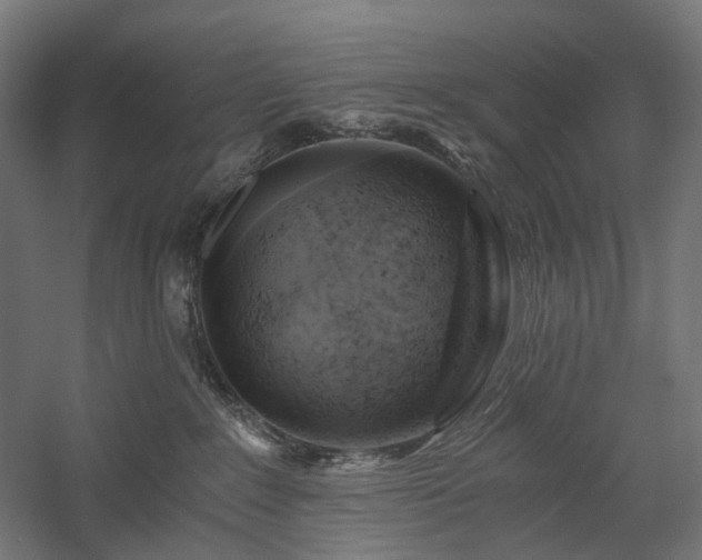 X0000058800235200509301215