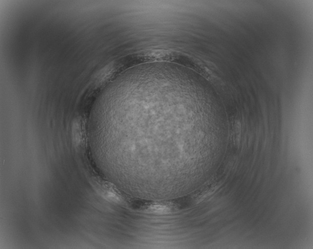 X0000058800236200509301215