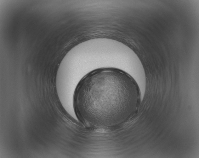 X0000058800237200509301215