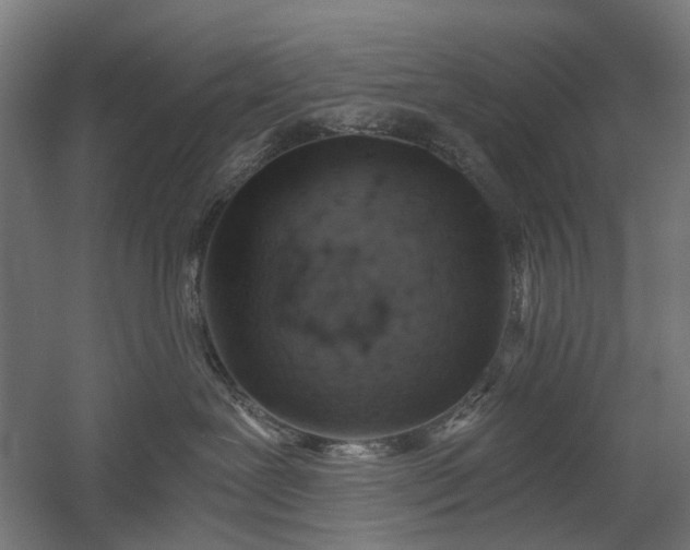 X0000058800239200509301215