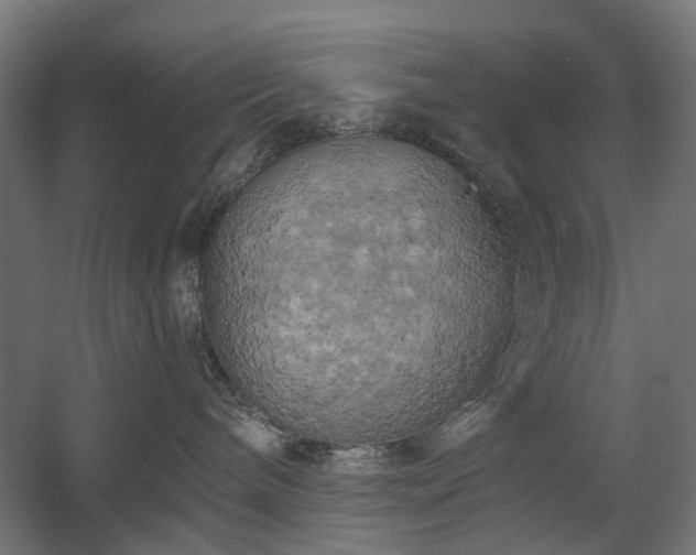 X0000058800240200509301215