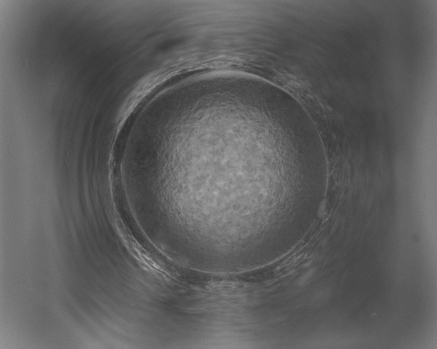 X0000058800242200509301214