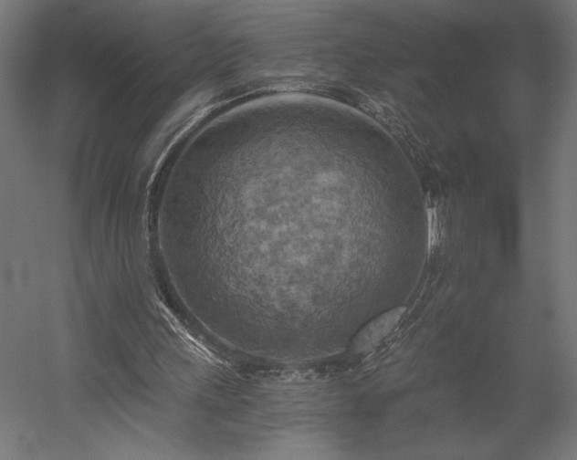 X0000058800243200509301214