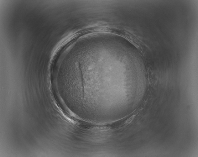 X0000058800245200509301214