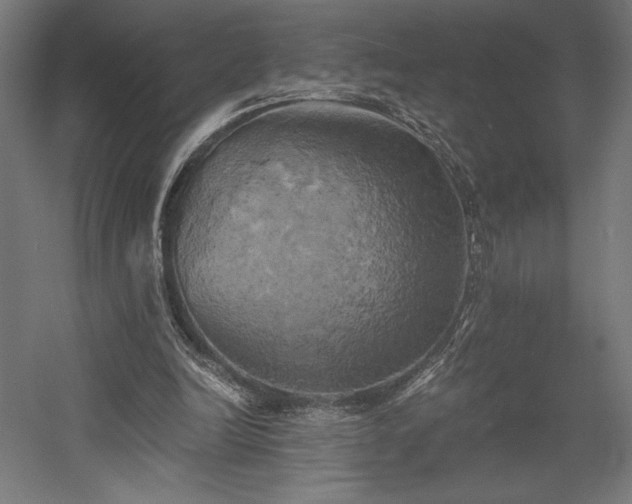X0000058800246200509301214