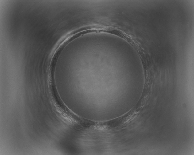 X0000058800247200509301214