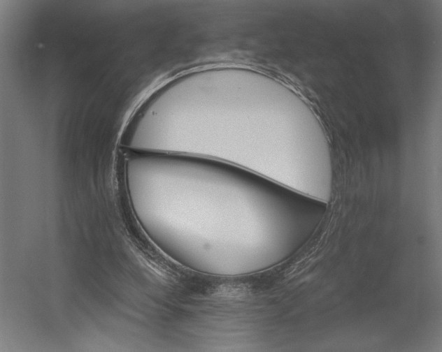 X0000058800248200509301215