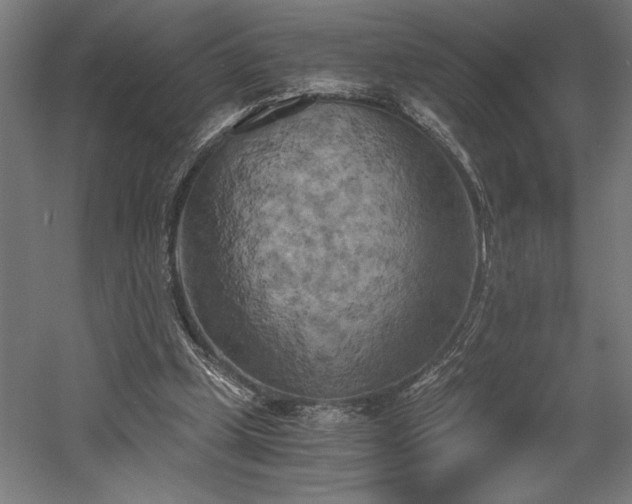 X0000058800249200509301215