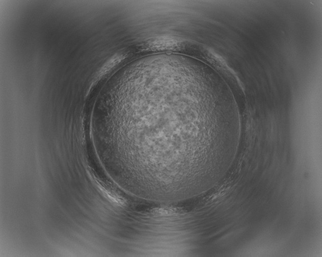 X0000058800250200509301215