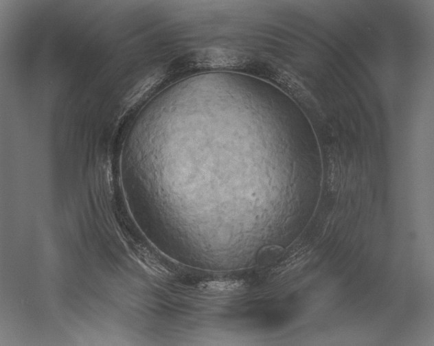 X0000058800251200509301215