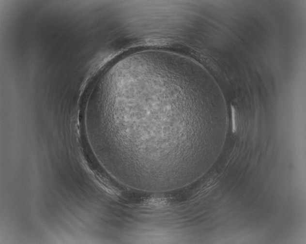 X0000058800252200509301215