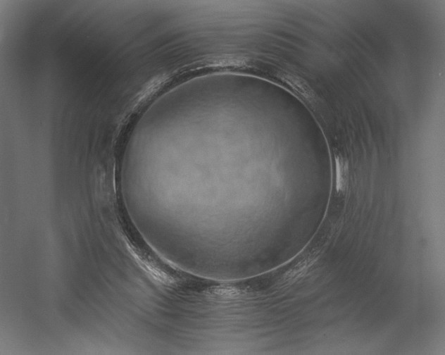 X0000058800253200509301215