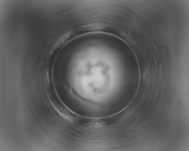 X0000058800254200509301215