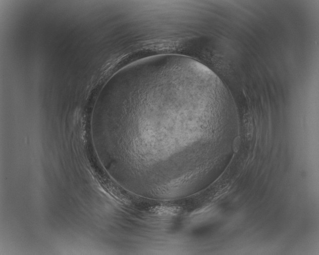 X0000058800255200509301215