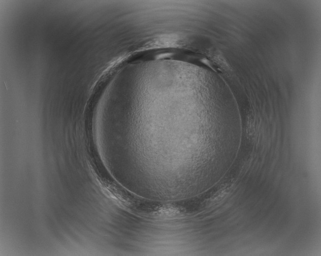 X0000058800256200509301215