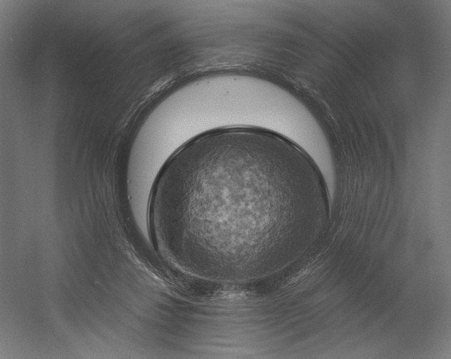 X0000058800260200509301215