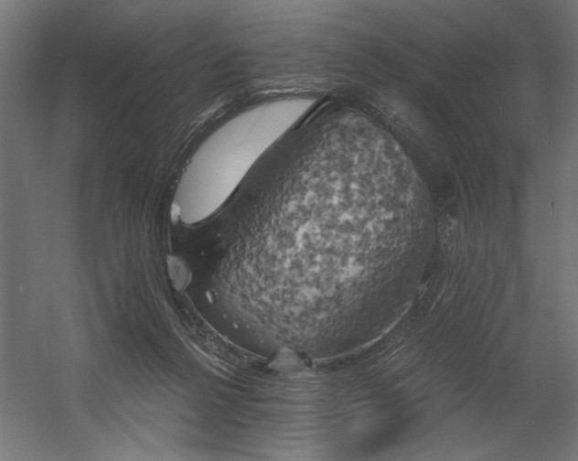X0000058800264200509301215
