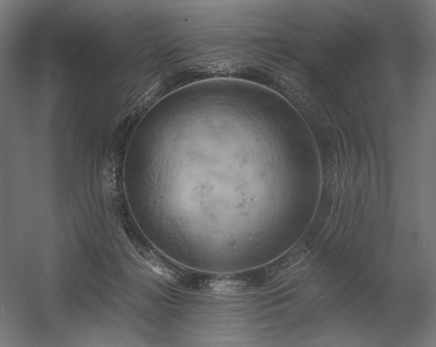 X0000058800268200509301215