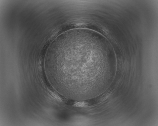 X0000058800269200509301215