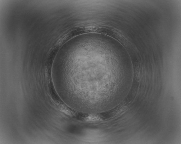 X0000058800270200509301215