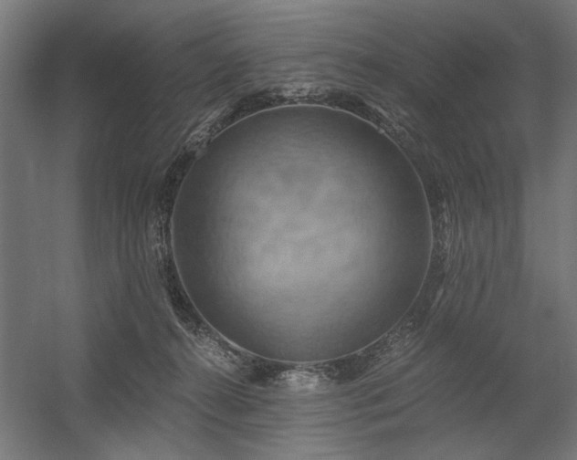 X0000058800272200509301215