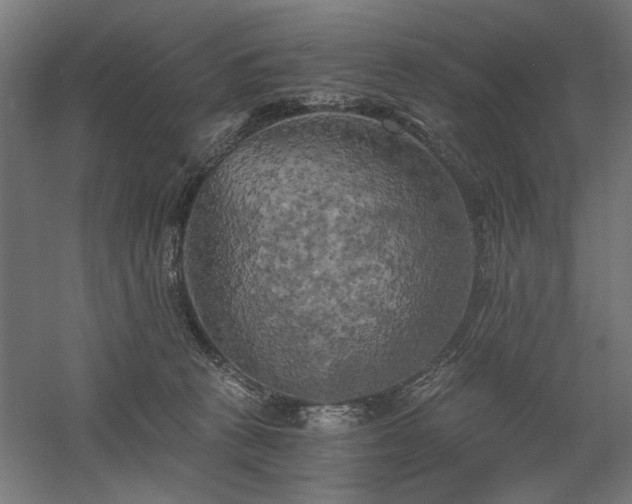 X0000058800273200509301215
