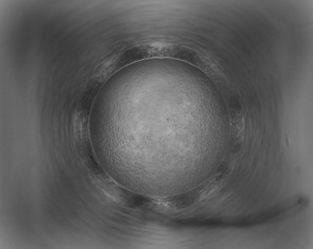 X0000058800276200509301215