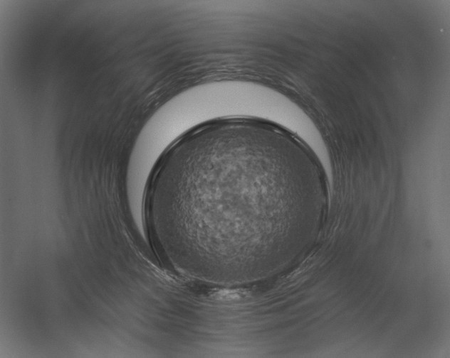 X0000058800277200509301215