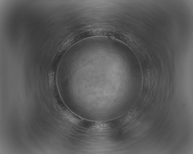 X0000058800278200509301215
