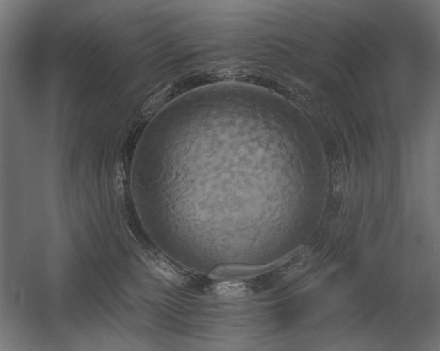 X0000058800279200509301215
