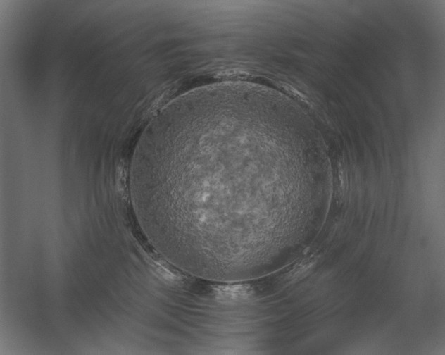 X0000058800281200509301215