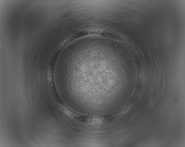 X0000058800282200509301215