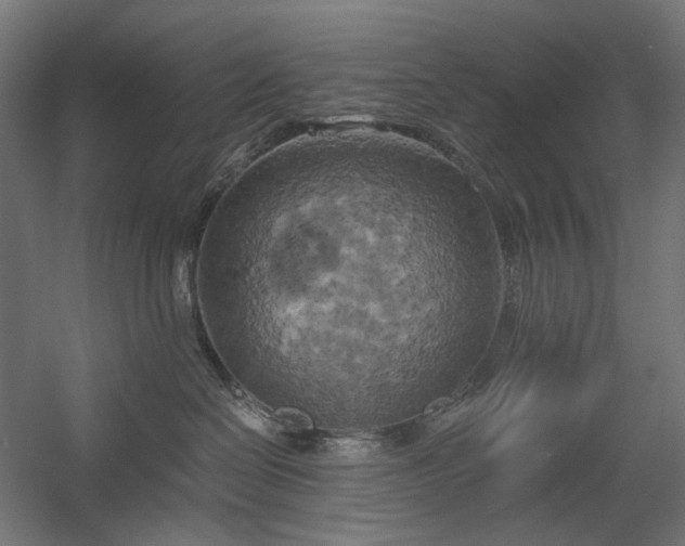 X0000058800286200509301215