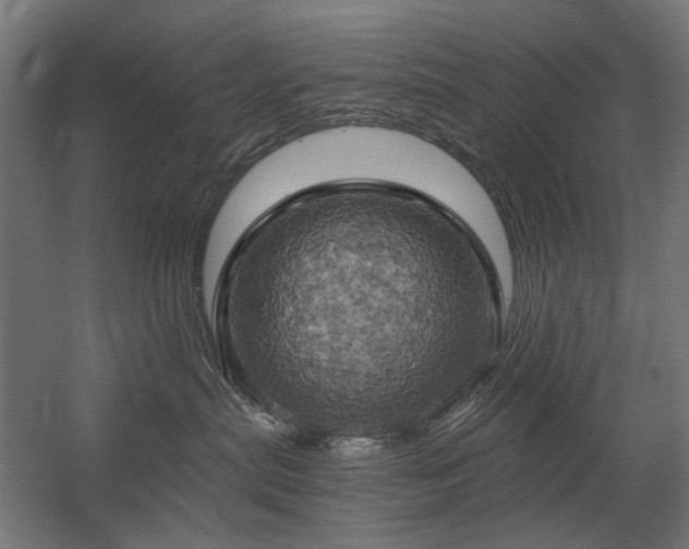 X0000058800287200509301215