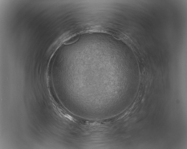 X0000058800290200509301214