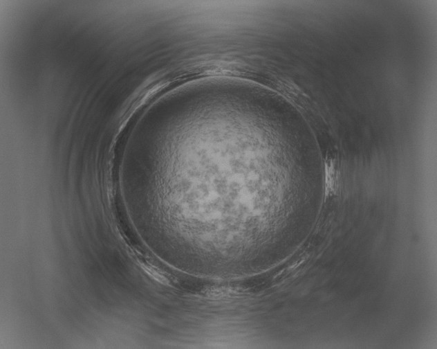 X0000058800291200509301214
