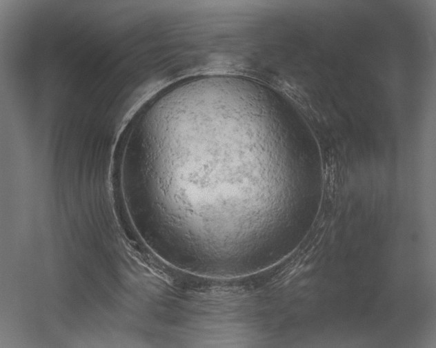 X0000058800292200509301214