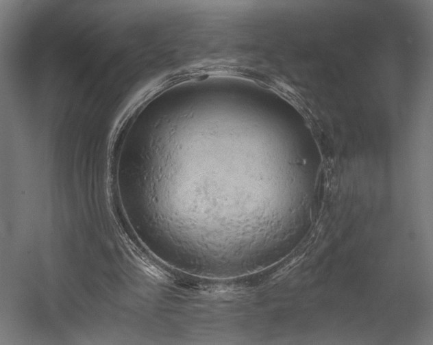 X0000058800293200509301214