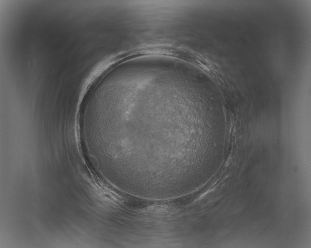 X0000058800294200509301214