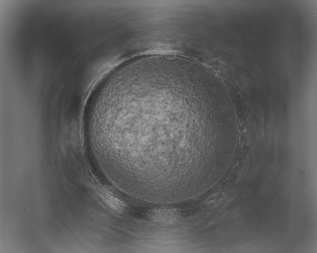 X0000058800296200509301214